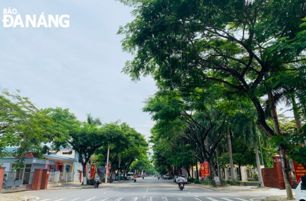 Tham gia chào giá cạnh tranh cung cấp xe phục vụ công tác cắt tỉa cây xanh PCLB năm 2022