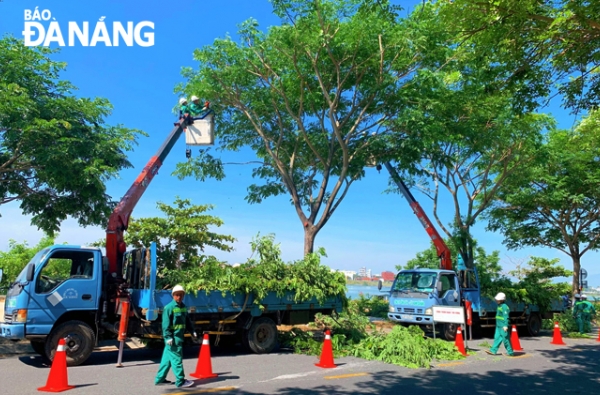 Tham gia chào giá cạnh tranh cung cấp xe phục vụ cắt tỉa PCLB năm 2023