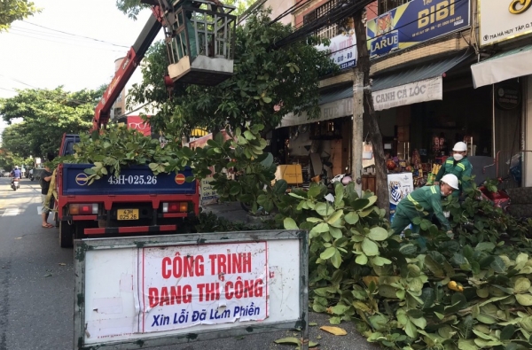 Tham gia chào giá cạnh tranh cung cấp xe phục vụ cắt tỉa PCLB năm 2023