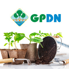 Các văn bản liên quan đến công tác phòng chống tham nhũng năm 2024